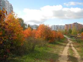 Двенадцать месяцев