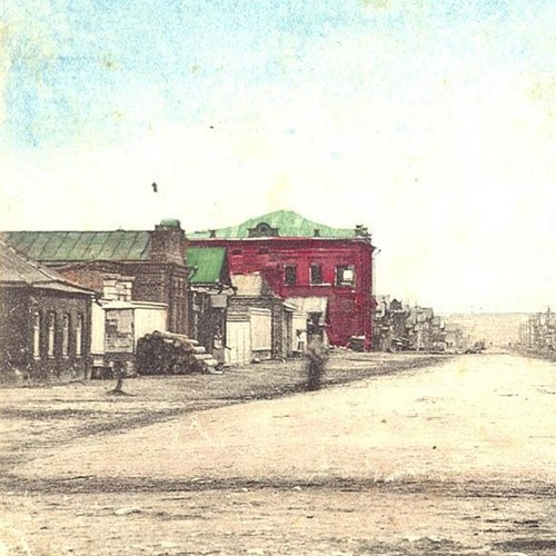 «В уездном городе N...»